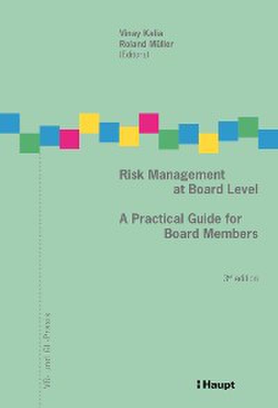 Risk Management at Board Level