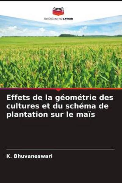 Effets de la géométrie des cultures et du schéma de plantation sur le maïs