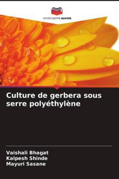 Culture de gerbera sous serre polyéthylène