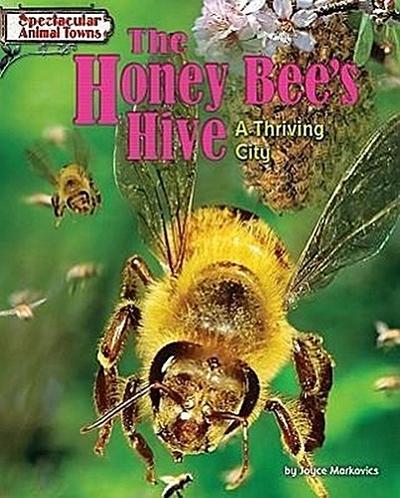 The Honey Bee’s Hive: A Thriving City