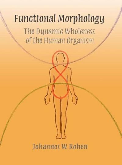 Functional Morphology
