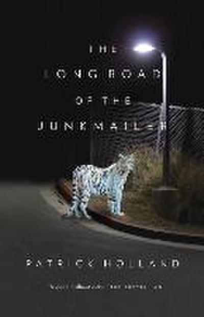 The Long Road of the Junkmailer