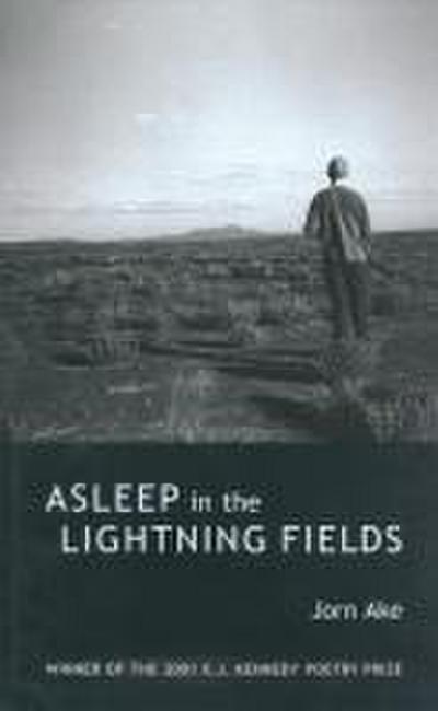 Asleep in the Lightning Fields
