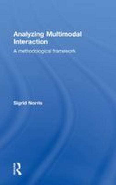 Analyzing Multimodal Interaction