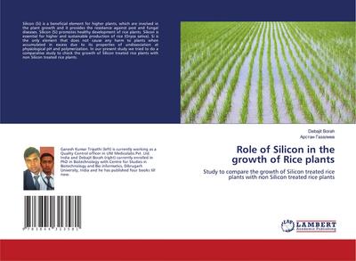 Role of Silicon in the growth of Rice plants