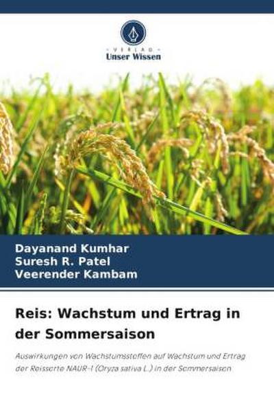 Reis: Wachstum und Ertrag in der Sommersaison