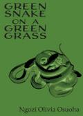 Green Snake on a Green Grass