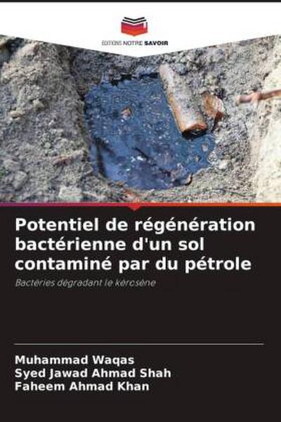 Potentiel de régénération bactérienne d’un sol contaminé par du pétrole