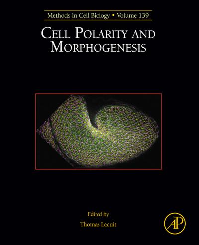 Cell Polarity and Morphogenesis
