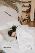 Dream nights