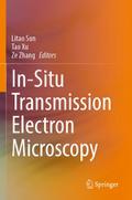 In-Situ Transmission Electron Microscopy