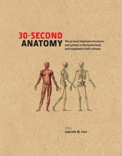 30-Second Anatomy
