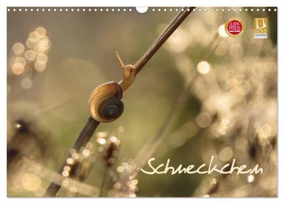 Schneckchen (Wandkalender 2024 DIN A3 quer), CALVENDO Monatskalender