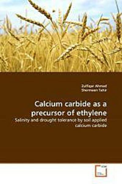 Calcium carbide as a precursor of ethylene
