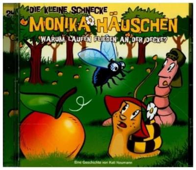24: Warum laufen Fliegen an der Decke?