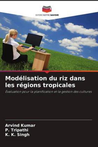 Modélisation du riz dans les régions tropicales