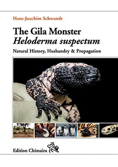 The Gila Monster Heloderma suspectum