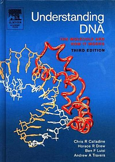 Understanding DNA