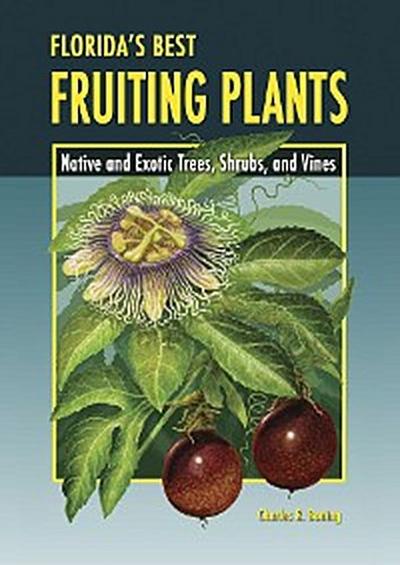 Florida’s Best Fruiting Plants