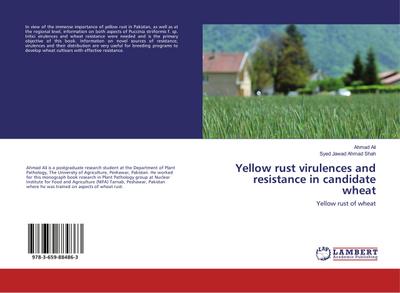 Yellow rust virulences and resistance in candidate wheat