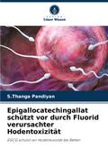 Epigallocatechingallat schützt vor durch Fluorid verursachter Hodentoxizität