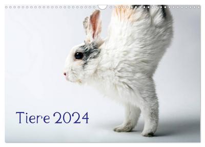 Tiere 2024 (Wandkalender 2024 DIN A3 quer), CALVENDO Monatskalender