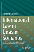 International Law in Disaster Scenarios