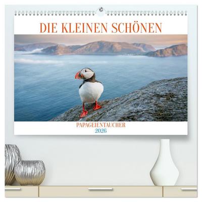 Die kleinen schönen (hochwertiger Premium Wandkalender 2026 DIN A2 quer), Kunstdruck in Hochglanz