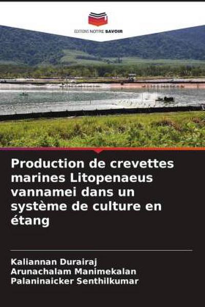 Production de crevettes marines Litopenaeus vannamei dans un système de culture en étang