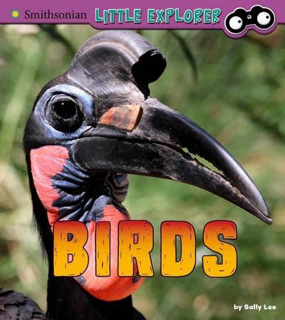 Birds: A 4D Book