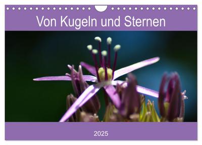 Von Kugeln und Sternen (Wandkalender 2025 DIN A4 quer), CALVENDO Monatskalender