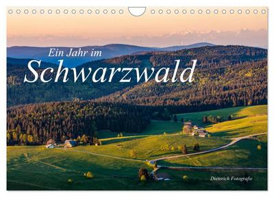 Ein Jahr im Schwarzwald (Wandkalender 2025 DIN A4 quer), CALVENDO Monatskalender