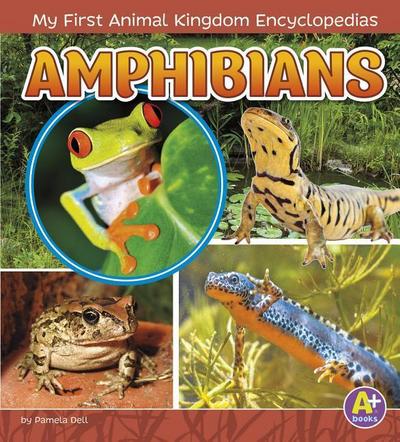 Amphibians