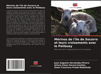 Mérinos de l’île de Socorro et leurs croisements avec le Pelibuey