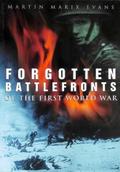 Forgotten Battlefronts of the First World War