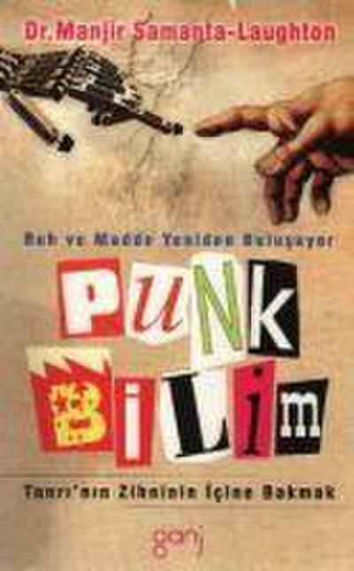 Punk Bilim