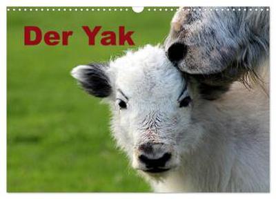 Der Yak (Wandkalender 2026 DIN A3 quer), CALVENDO Monatskalender