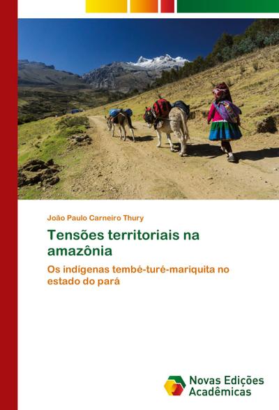 Tensões territoriais na amazônia