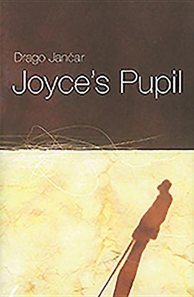 Joyce’s Pupil