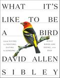 What It’s Like to Be a Bird