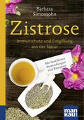Zistrose