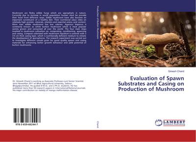 Evaluation of Spawn Substrates and Casing on Production of Mushroom