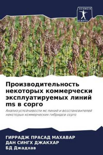Proizwoditel’nost’ nekotoryh kommercheski äxpluatiruemyh linij ms w sorgo