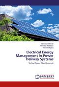 Electrical Energy Management in Power Delivery Sys