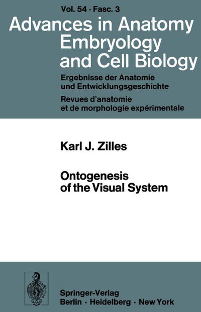 Ontogenesis of the Visual System