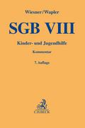SGB VIII
