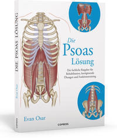 Die Psoas-Lösung
