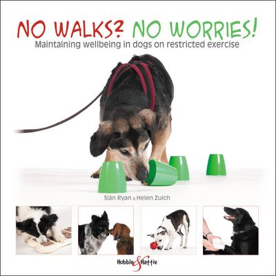 Ryan, S: No Walks? No Worries!