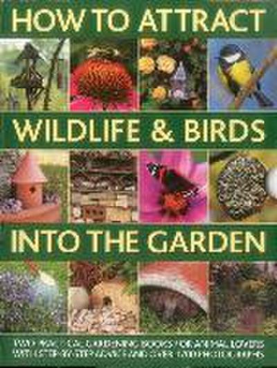 How to Attract Wildlife & Birds Into the Garden