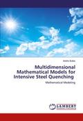 Multidimensional Mathematical Models for Intensive